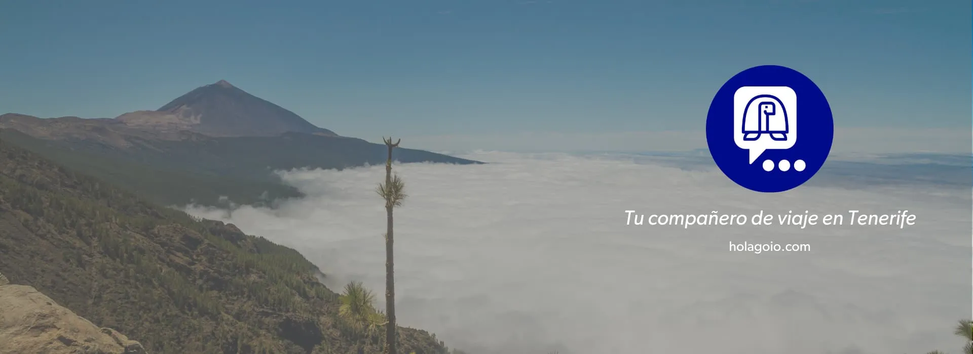 GOIO FOR TENERIFE TOURISM